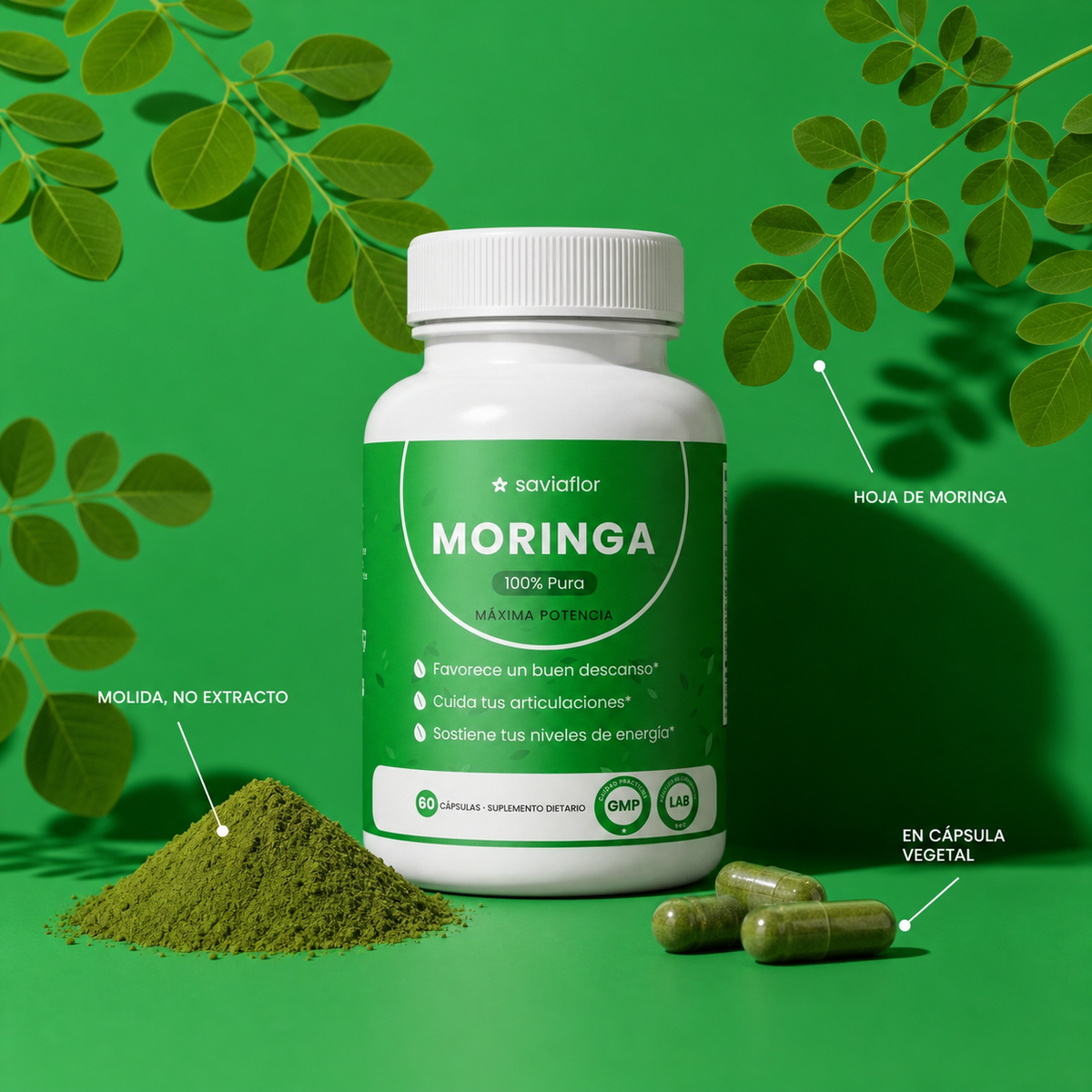SAVIAFLOR Moringa en cápsulas